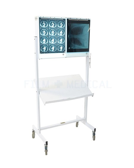 Free Standing Double X-Ray Lightbox